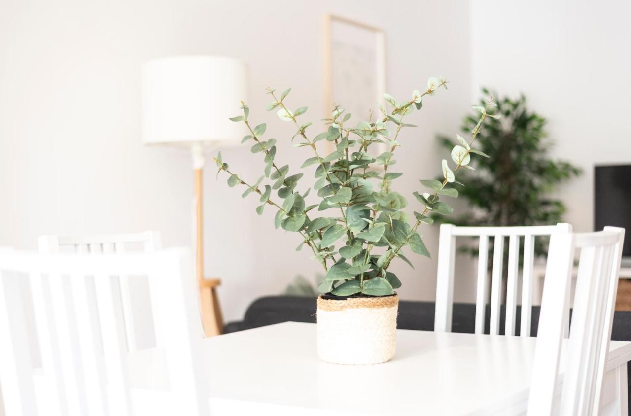 Apartamento Tierra Ferrol Bagian luar foto